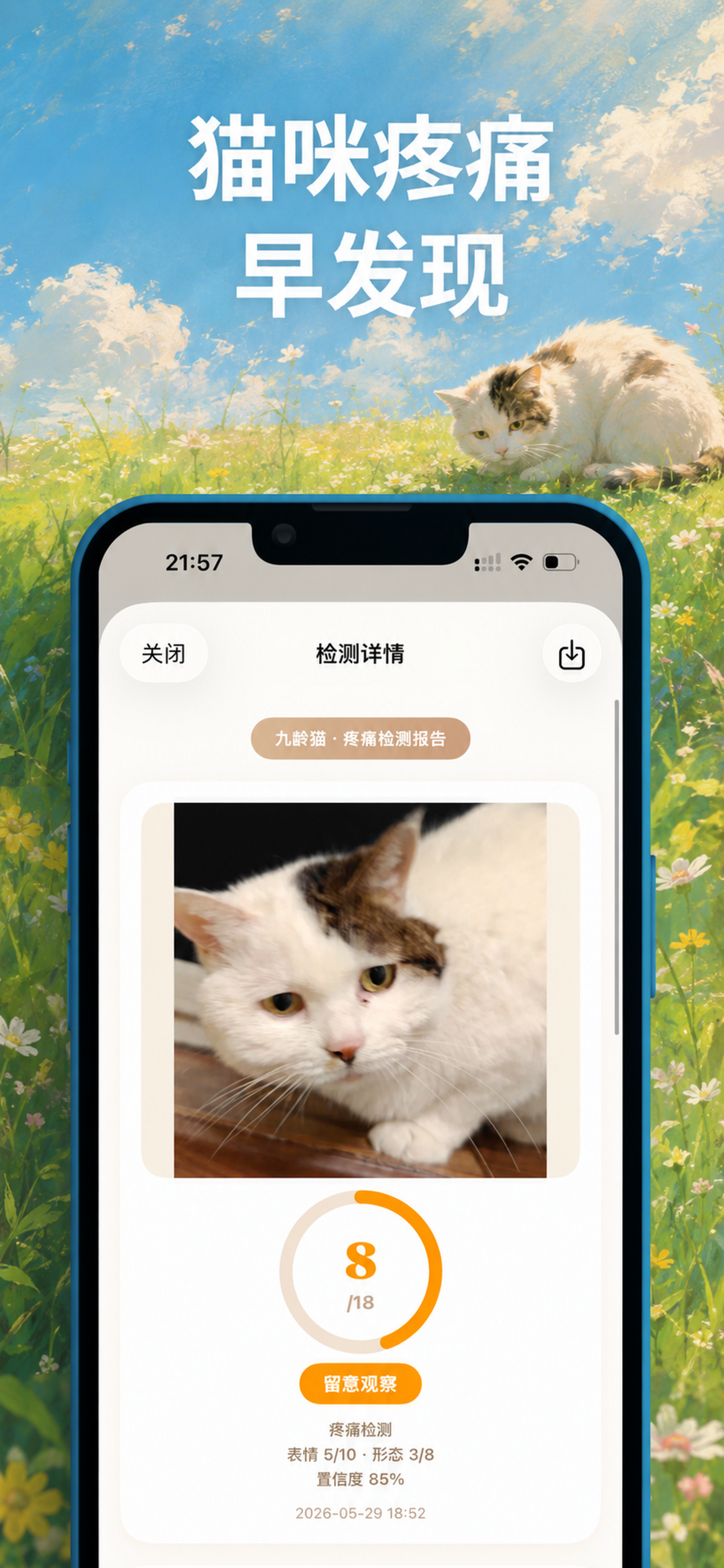 全面呵护