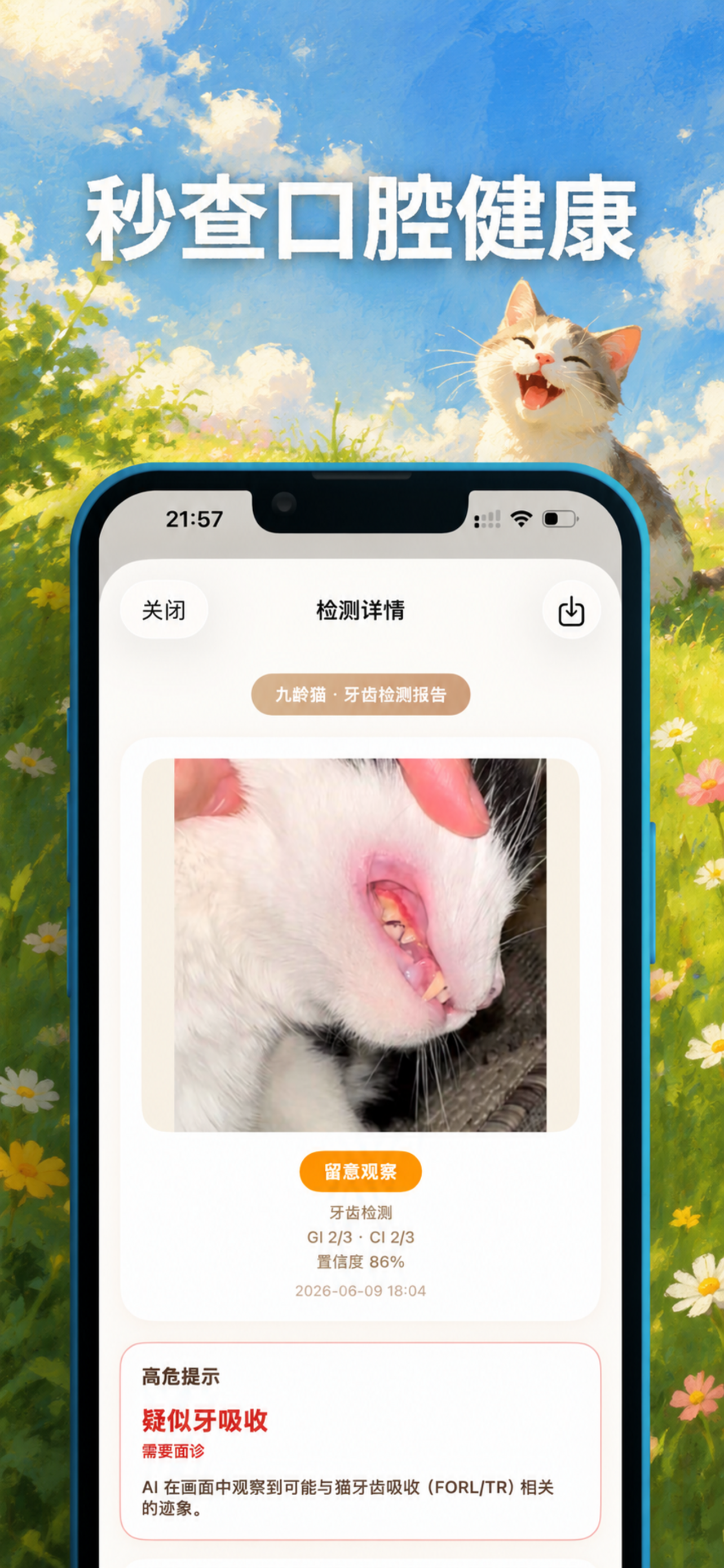 智能养猫