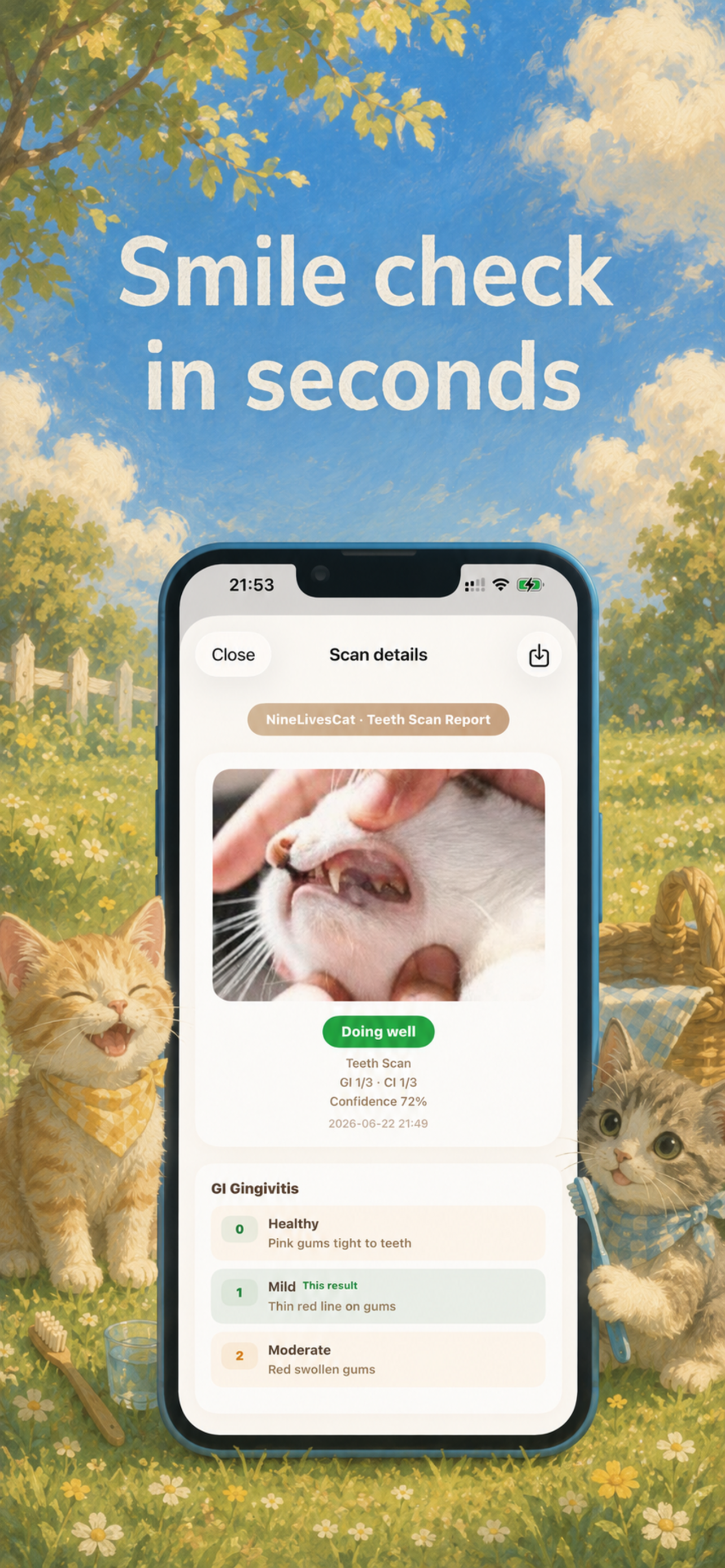 Comprehensive cat care