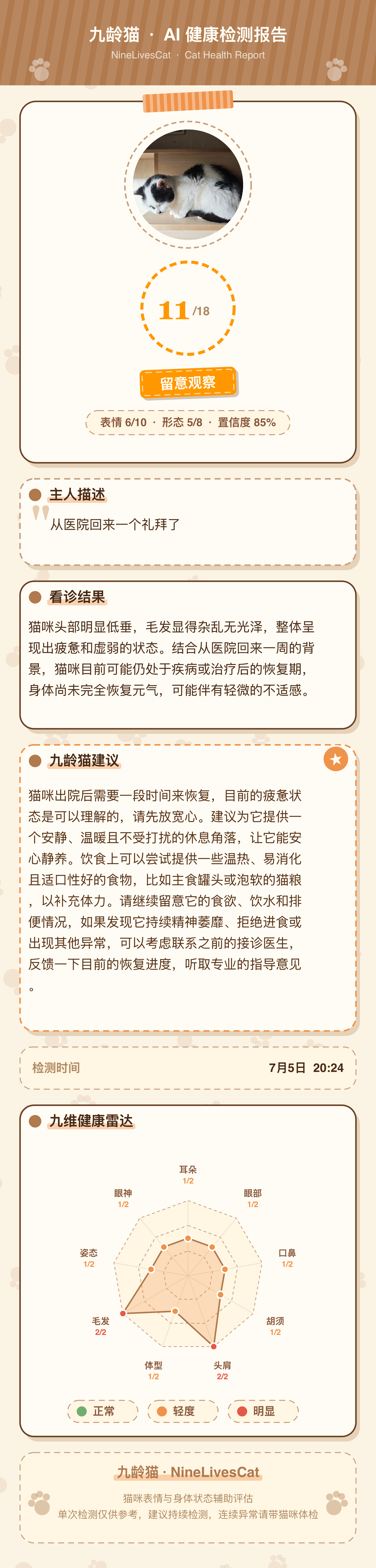 疼痛检测报告 — 术后恢复 11/18