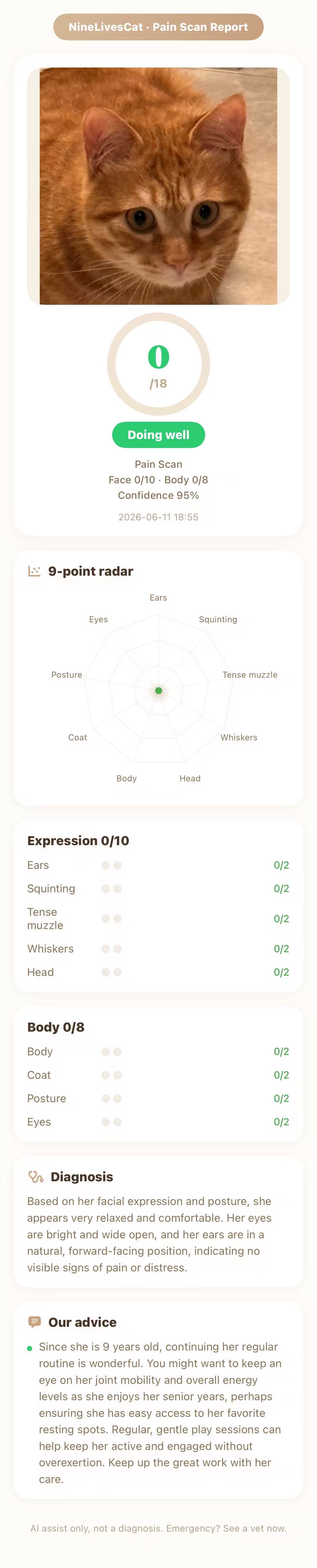 Pain check report — relaxed orange tabby, score 0/18
