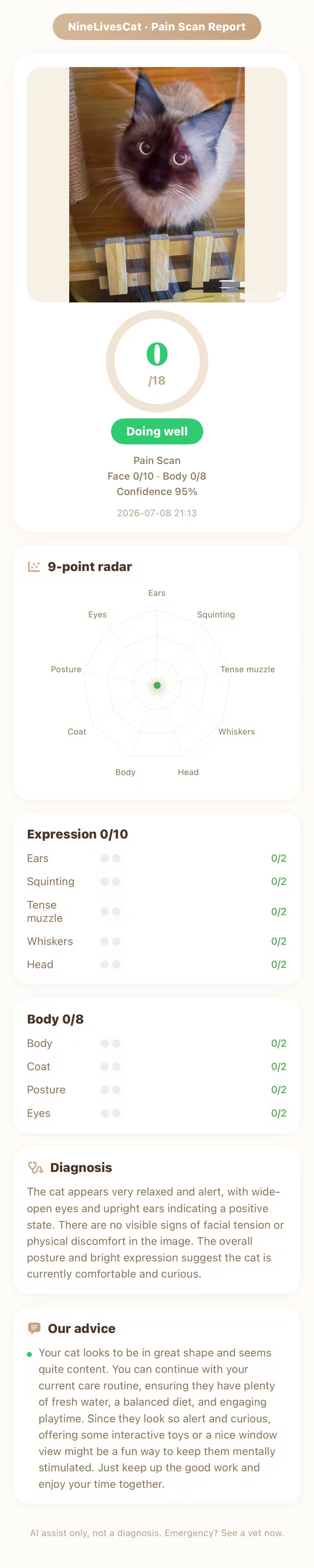 Pain check report — curious cat at fence, score 0/18