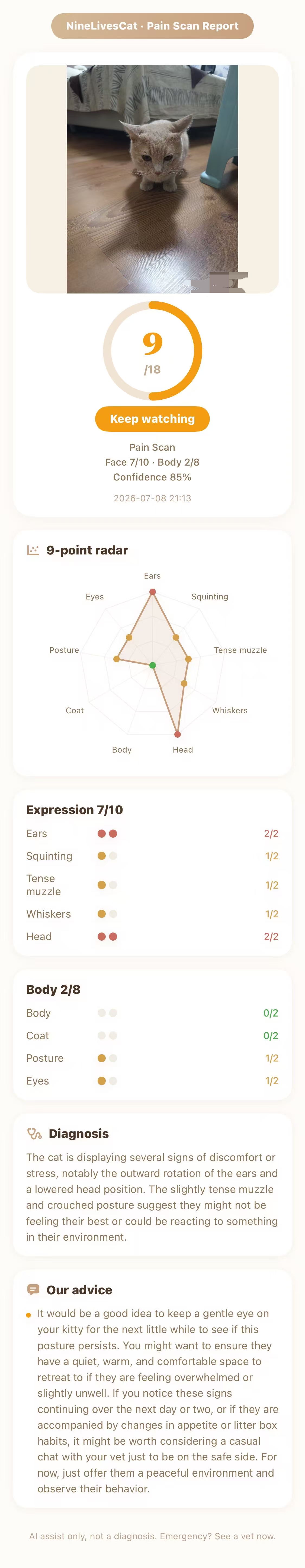 Pain check report — crouched cat with rotated ears, score 9/18