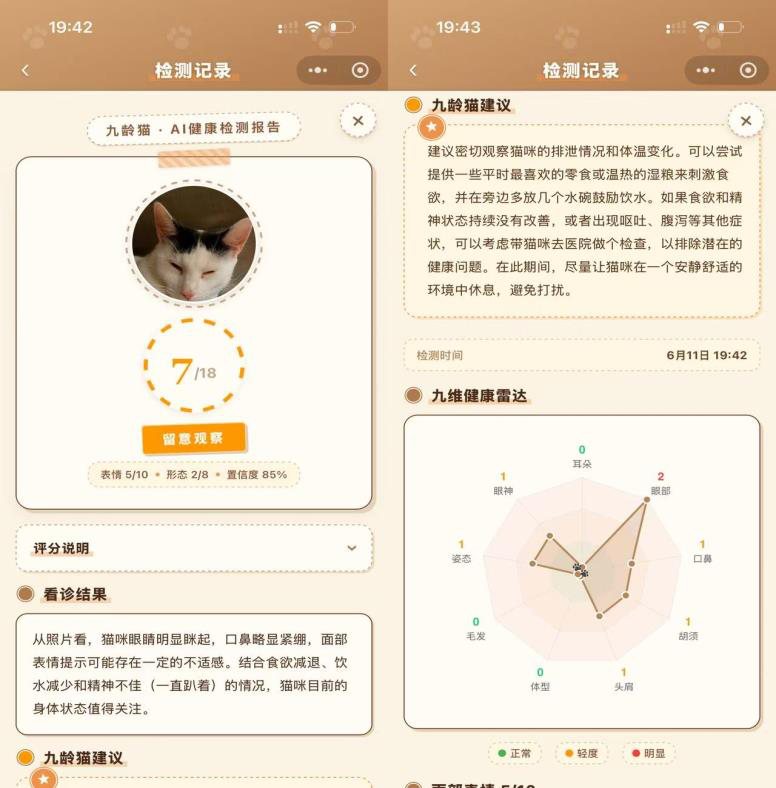 NineLivesCat · Pain assessment example